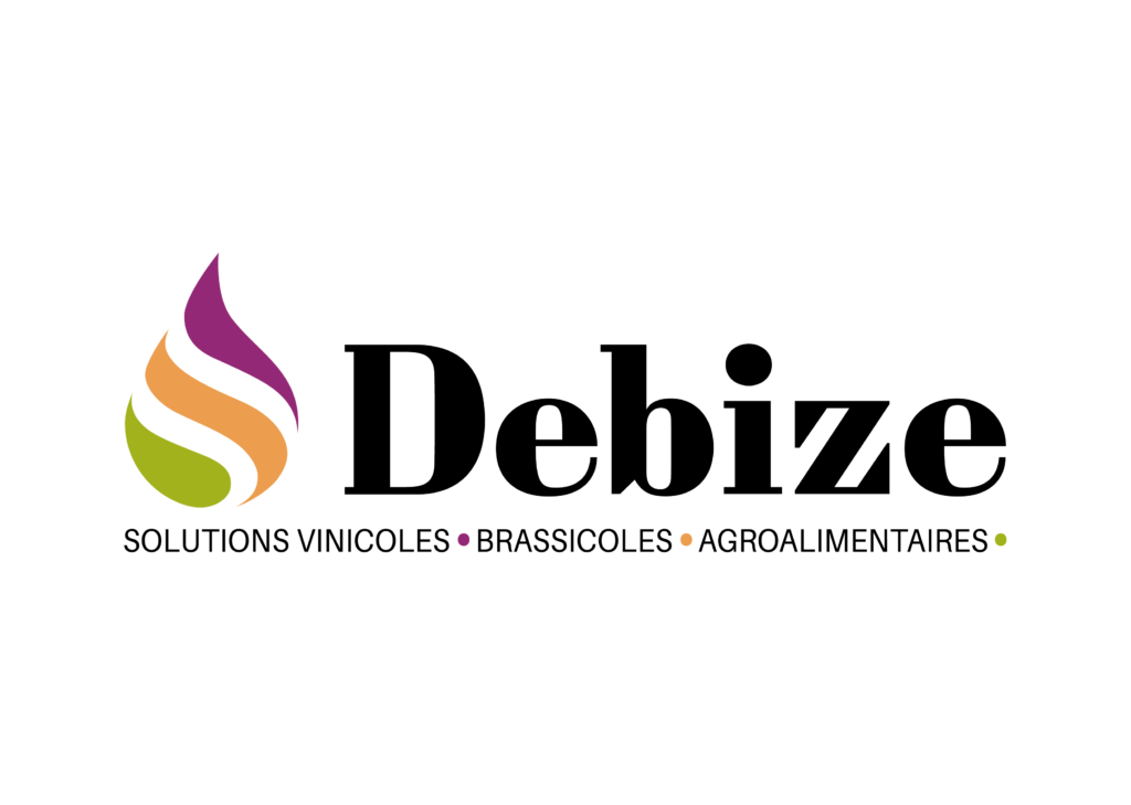 Logo Debize